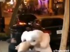A Bunny goes wild