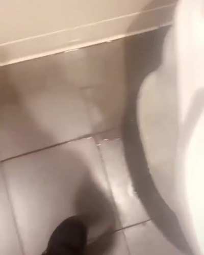 HTDYL after going into my school bathroom