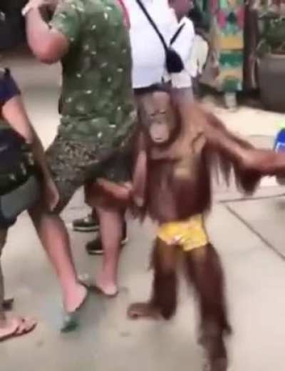 Nuevo video del froterista Morenaco Monreal, se ve claro la agarrada de nalgas