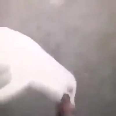 Yoooo
