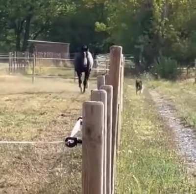 Fancy a race