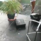HMC while I dance