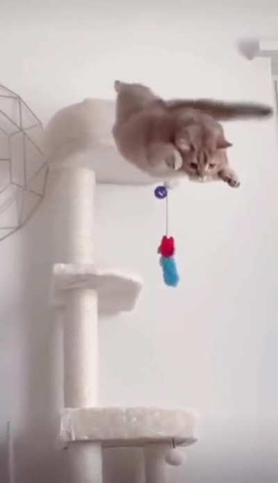 Mistakes were made