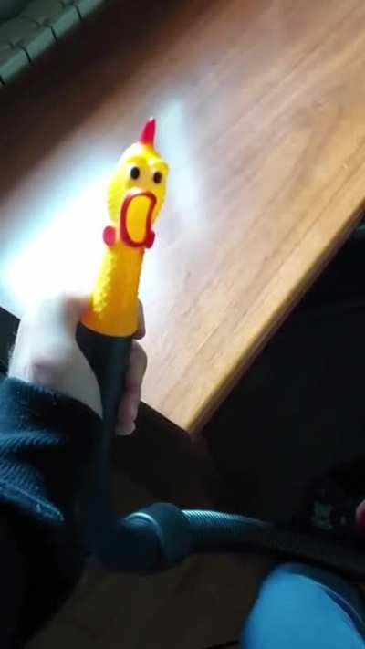 I love this chicken