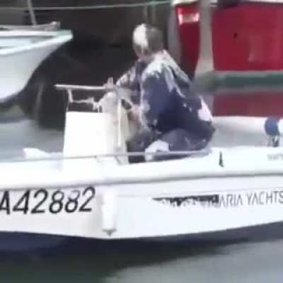Seagulls are such assholes