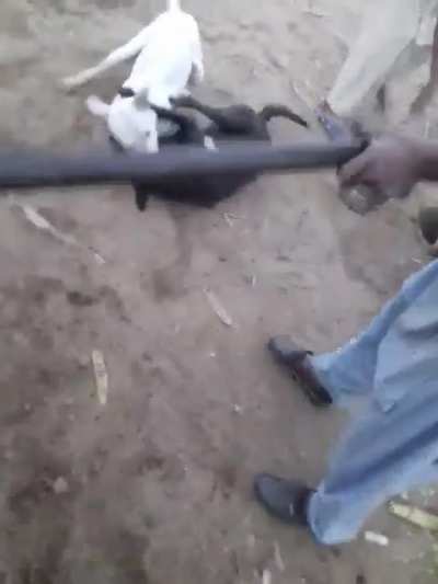 watch till end