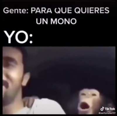 POV: Te consigues un mono 🐒