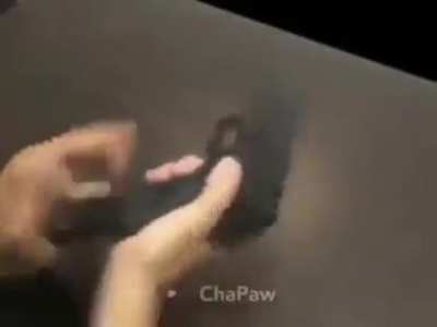 Wait wa-
