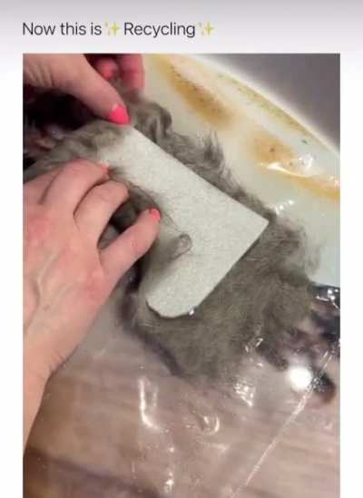 Bruh, just why