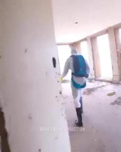 Corona.mp4