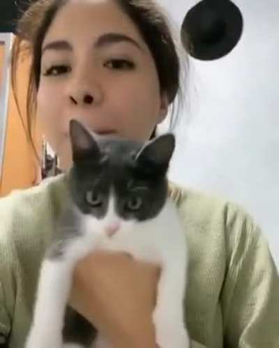 Aaaa Aa Aa