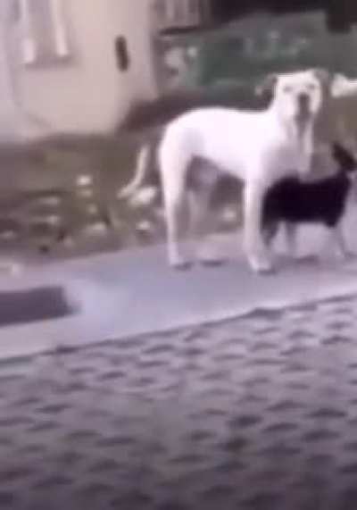 This is insane cock blockin 😂😂😂