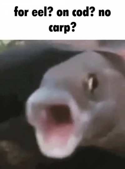 48859