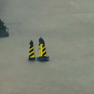 Mating ritual of the Cone