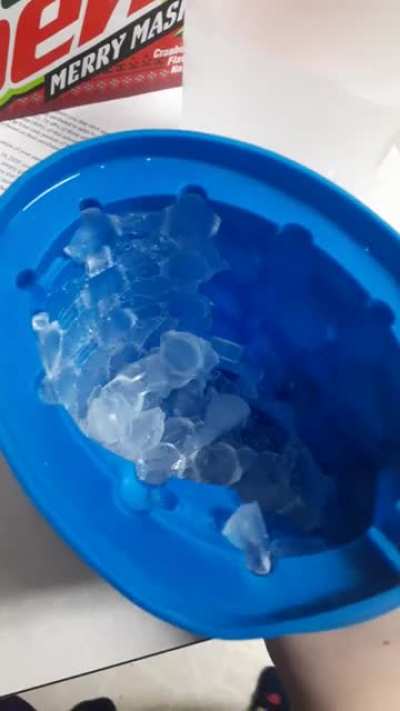 An ice tray we have. Breaking the ice is my favorite thing to do ngl