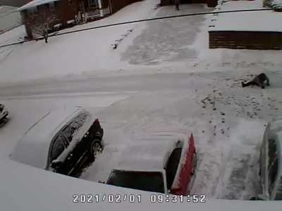 This guy killed his neighbors just over snow