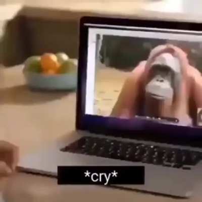 Rude Monkey
