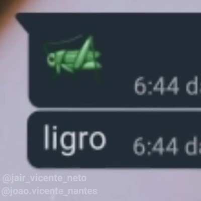 Vacalo 🐎