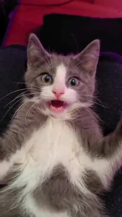 You're dead!