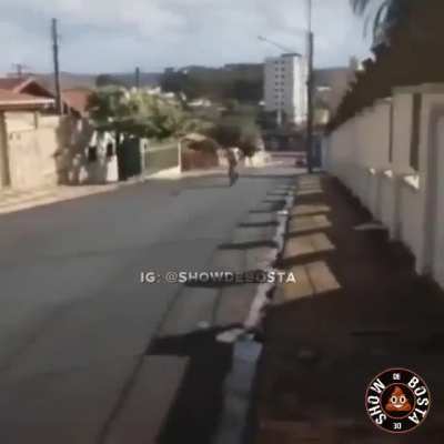 XD
