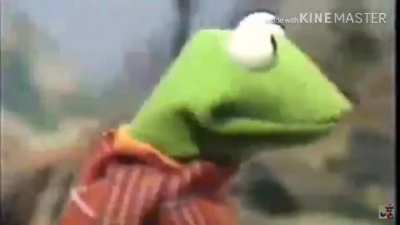Kermit dies in horrific bicycle accident