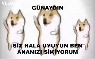 GÜNAYDIN KEYCİBİ HULKİ