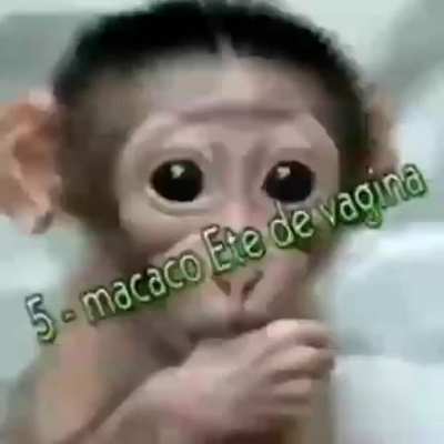 Esse daqui é brabo