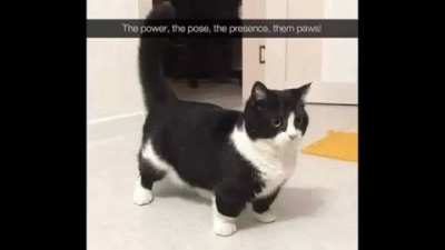 them presence