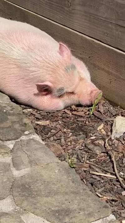 Sunbathing
