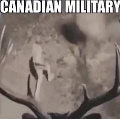bout time for article 4, eh?