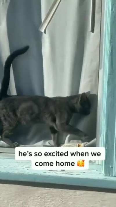 He gets so excited