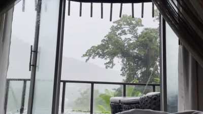 Opened our balcony doors in our hotel room in Thailand