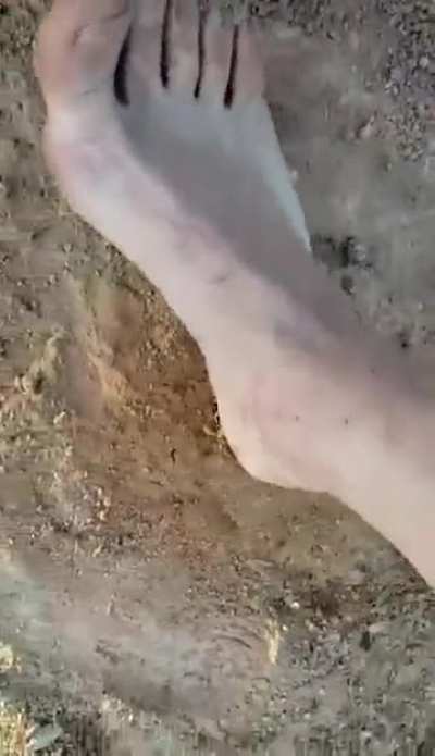 Poisonous Centipede 3