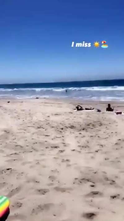 Sydney at the beach