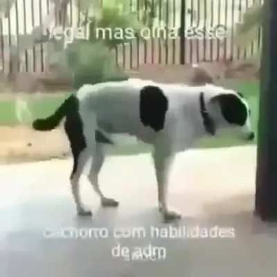 Não existe
