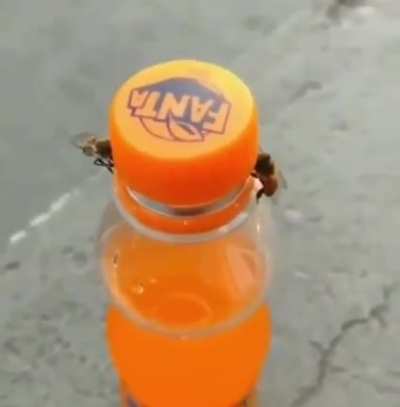 Teamwork is Fanta