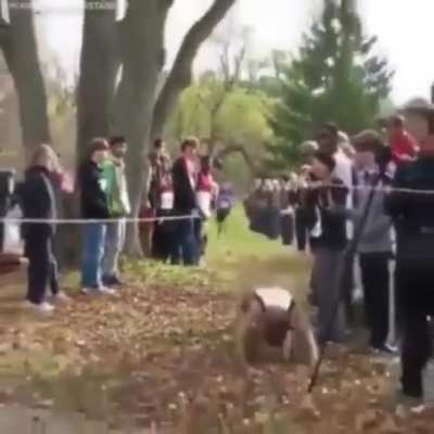 Don't quit till you win