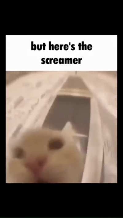 but here's the wunker