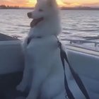 Just enjoying life.