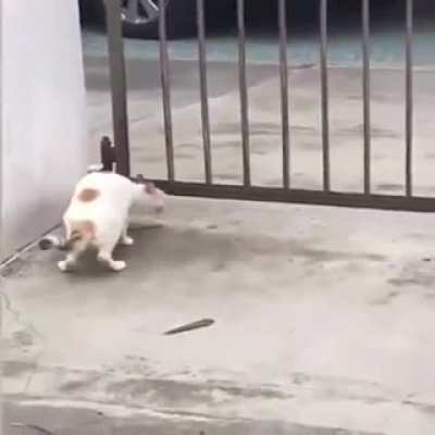 '' Work harder not smarter ''