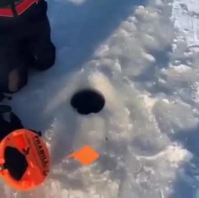 Ice 