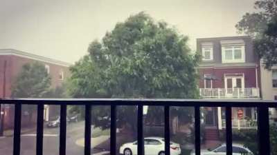 From my balcony (Richmond, VA)