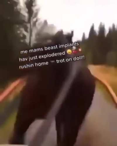 rule