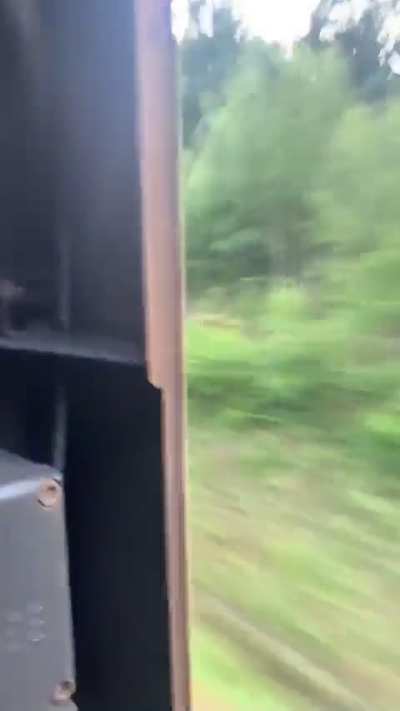 Highspeed Surfing (260 km/h )