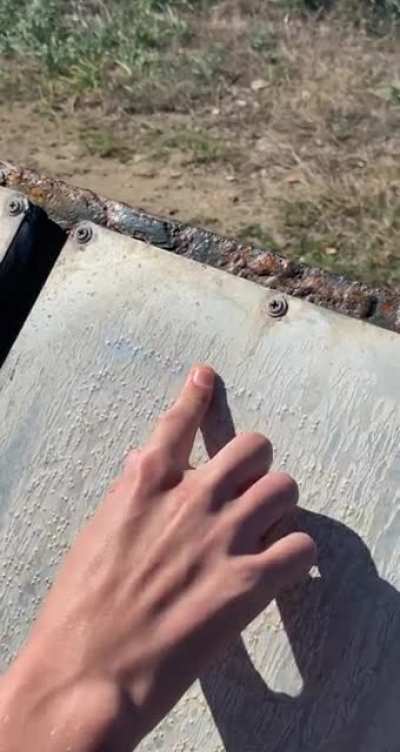 horror movie in Braille