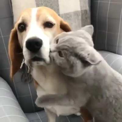 Let me love youuu!