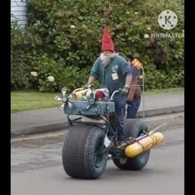 The gnome king