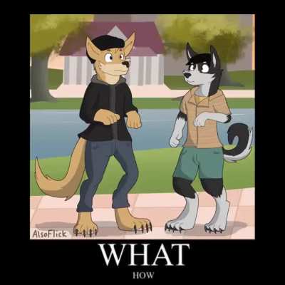 Bark_irl