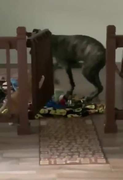 tudo planejado