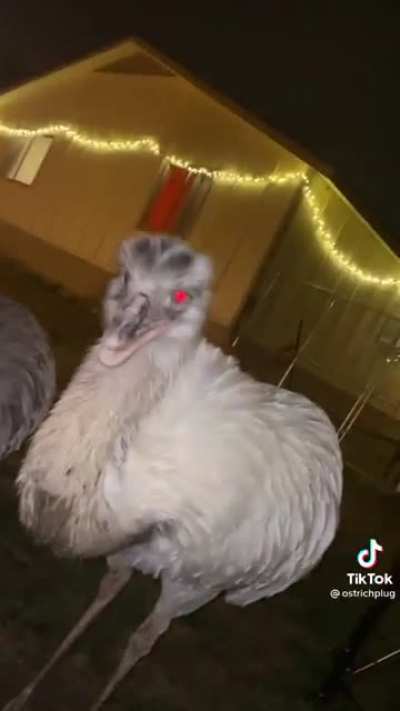 Karens new boyfriend